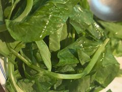 -滇铺子·云南特色菜·第九届野生菌美食节(东风东路c86店)