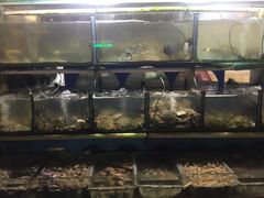 -大丰收海鲜酒楼·专业餐饮30年(连云港老字号店)