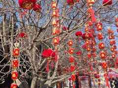 -北京石景山游乐园