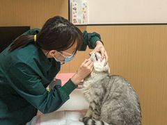 -瑞派康怡24h宠物医院·犬猫医疗中心·微创绝育(瑞景分院)