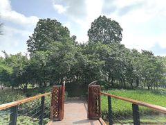 -映月湖公园
