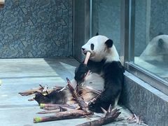 -西安秦岭野生动物园