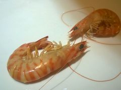 -渔傅·蓝海岸霞浦海鲜(正祥店)