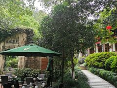 -十八棵（老龙井）御茶园(老龙井店)