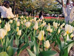 -石家庄市植物园