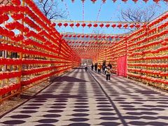 -北京凤凰岭