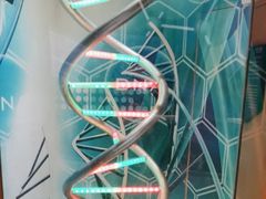 -中国杭州低碳科技馆