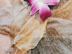 -大妙火锅·非物质文化遗产(东湖公园店)