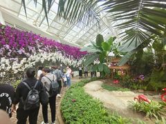 -石家庄市植物园