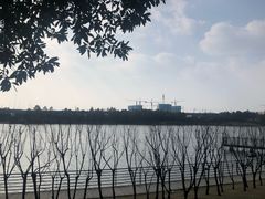 -美兰湖景区