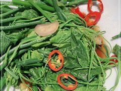 -旺顺阁·北京菜(北辰上品+)