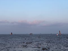 -南汇嘴观海公园