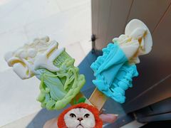 -西湖外事游船(花港观鱼码头)