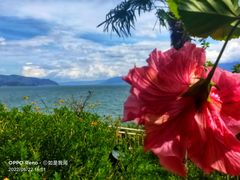 -南诏风情岛