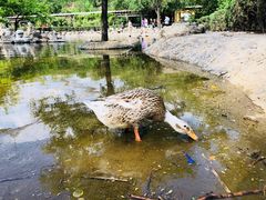 -森林公园(尖草坪区)