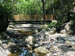 -云岫谷自然风景区