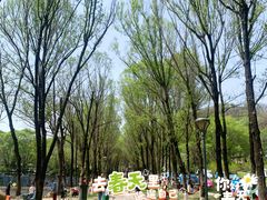 -高尔山公园