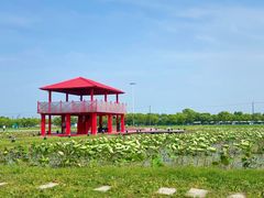 -嘉北郊野公园