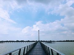 -滆湖低碳生态公园