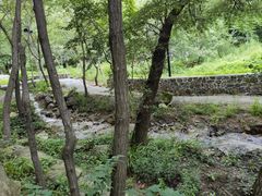 -大岭沟猕猴桃谷风景区
