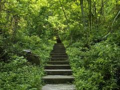-西安祥峪森林公园