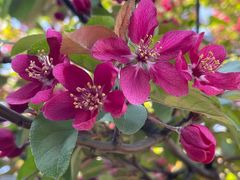 -星湖街(地铁站)