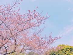 -常州大剧院保利影城