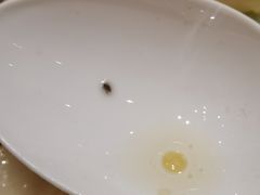 -白金汉爵大酒店-24小时餐厅