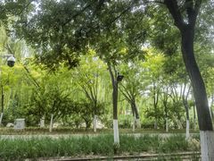 -南翠屏公园