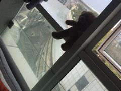 -犬也宠物造型(恒茂国际都会商业街店)