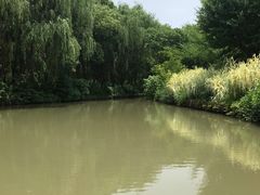 -同里国家湿地公园