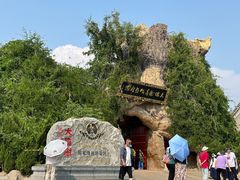-大槐树寻根祭祖园