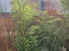 -羊门客在·烤盐池滩羊·川菜