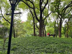 -徐家汇源景区-衡山公园