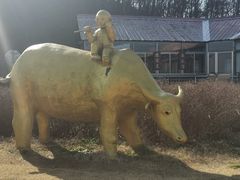 -南京金牛湖风景区