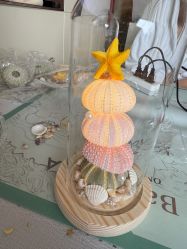 -baby bella小贝拉母婴护理中心(北京东隅店)