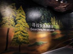 -安徽省地质博物馆