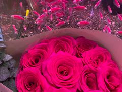-双季花艺园艺市场(浦东店)