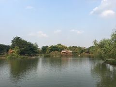 -海珠湖公园