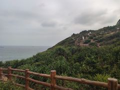 -杨梅坑