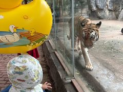 -南昌动物园