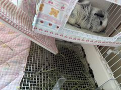 -博特宠物医院24h犬猫全科.骨科·异宠