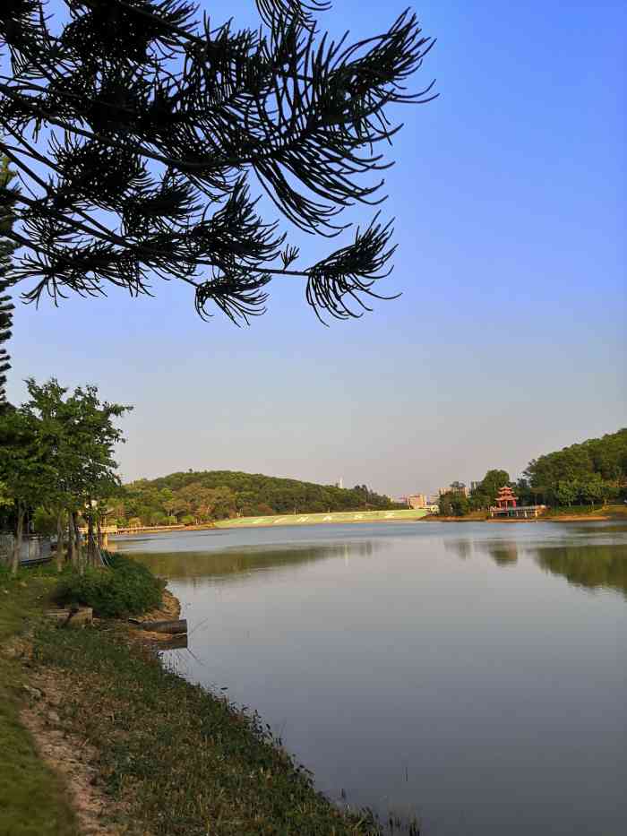 大运自然公园-"dayun natural park, ."-大众点评移动版