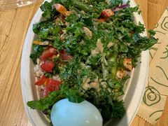 -油梨树AVOCADO TREE(望京店)
