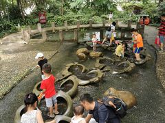 -成都市活水公园