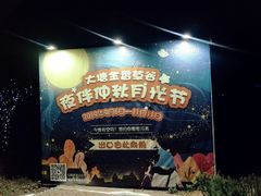 -大塘金香草谷