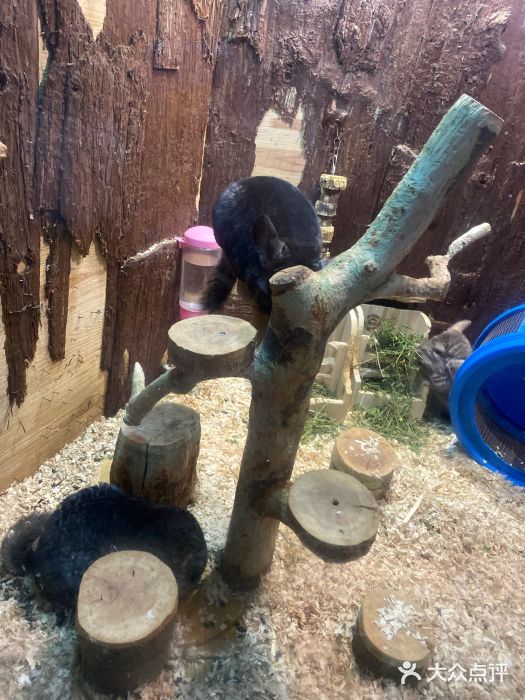 成都浩海立方海洋公园图片