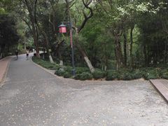 -赭山公园