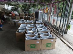 -马陆小张葡萄园农家乐