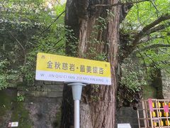 -大慈岩风景区